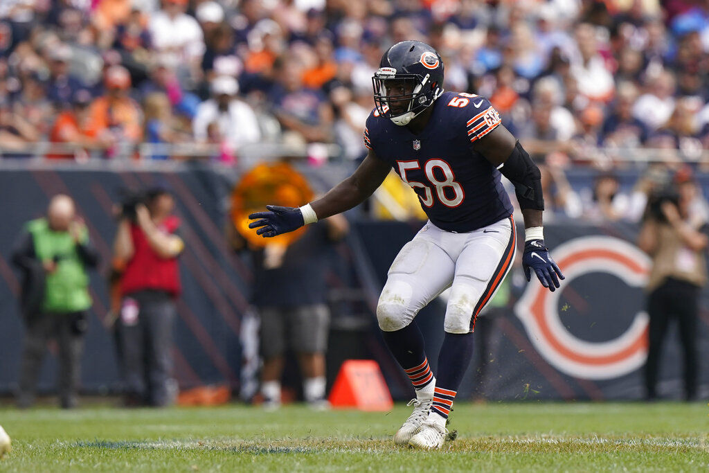 Lions Bears Football